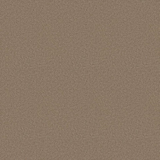 Image Alt Text